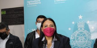 Autoridades de la SAG aseguran que no hay presencia de gripe aviar en aves domésticas del país