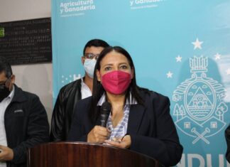 Autoridades de la SAG aseguran que no hay presencia de gripe aviar en aves domésticas del país