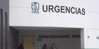 México confirma rabia en menores mordidos por murciélago en estado de Oaxaca