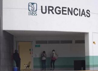 México confirma rabia en menores mordidos por murciélago en estado de Oaxaca