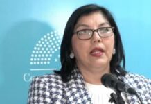 Diputada Ayala denuncia que desde sistema del IP inscribieron 90 bienes a su nombre