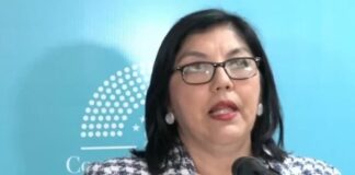 Diputada Ayala denuncia que desde sistema del IP inscribieron 90 bienes a su nombre