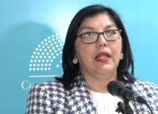 Diputada Ayala denuncia que desde sistema del IP inscribieron 90 bienes a su nombre