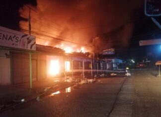 Incendio consume varios negocios en Mercado Nuevo de Choluteca