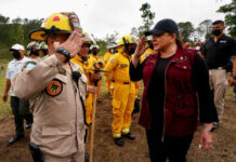 Gobierno de la República inicia programa ambiental para proteger los bosques del país