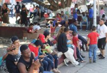 Primera caravana migrante del año parte este sábado de frontera sur de México