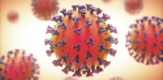 OMS: la COVID-19 sigue siendo una emergencia sanitaria internacional