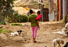 Cada 12 horas una mujer está en riesgo o es víctima de desplazamiento forzado Honduras, según el Conadeh