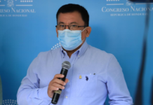 Diputado asegura no permitirán una maniobra abusiva en la elección de la CSJ y pide respetar la lista de candidatos que envíe la JN