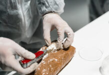 Incautan más de 400 kilos de cocaína hallados en el falso fondo de un camión en Ecuador