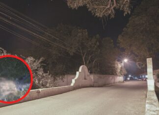 Policía Nacional captura al supuesto responsable de decapitar a un hombre en Ojojona, Francisco Morazán