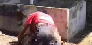 ¡Indignante! Captan a un hombre violando a una perra en Puerto Cortés