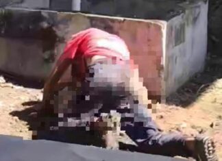 ¡Indignante! Captan a un hombre violando a una perra en Puerto Cortés