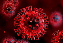 Especialista dice que los contagios de COVID-19 en el país están disminuyendo