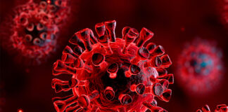 Un 2% de positividad de Covid-19 se registra en Honduras, según coordinadora de vigilancia