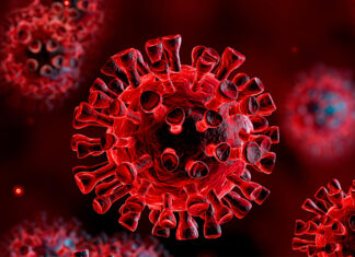 Un 2% de positividad de Covid-19 se registra en Honduras, según coordinadora de vigilancia