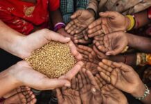 La ONU destina 250 millones de dólares para evitar la hambruna en 19 países