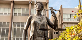 Analista señala que los nominados a magistrados que recibieron las mejores calificaciones no serán electos si no cuentan con un aval político