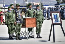 México y el mundo rinden homenaje a Proteo, perrito rescatista fallecido en Turquía