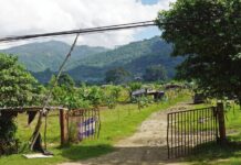 El sector privado advierte que Honduras se va a quedar sin comida en un futuro si continúan las invasiones de tierra