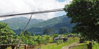 El sector privado advierte que Honduras se va a quedar sin comida en un futuro si continúan las invasiones de tierra