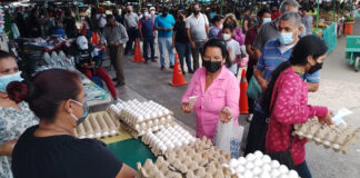 Asociación de Avicultores se reunirán con el Gobierno ante urgencia de bajar precio del huevo