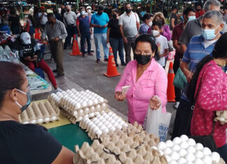 Capitalinos hacen largas filas para comprar huevos en los diferentes mercados de la ciudad