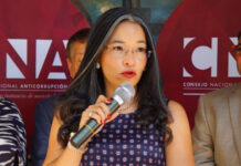 Gabriela Castellanos dice que la Junta Nominadora favoreció a autopostulantes escondiendo “tachas y denuncias”