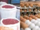 Huevos, carnes y frijoles registran incremento de hasta 2 lempiras