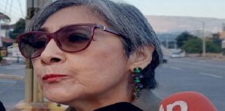 Elegir hoy sólo a cinco u ocho magistrados podría ser un camino errado, advierte Maribel Espinoza