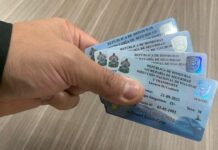 La DNVT suspende temporalmente la emisión de permisos de conducir ante la falta de materiales