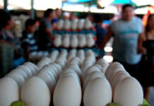 Gobierno y productores fijan a 130 lempiras el precio del cartón de huevos en el país