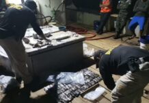 El MP captura a un capitán de barco que transportaba más de 320 envoltorios de hachís