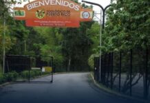 Puerto Rico clausurará su único zoológico tras seis años cerrado al público