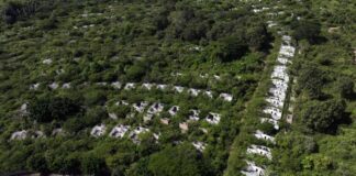 El problema con Ciudad Mateo no es el impacto ambiental sino el negocio del agua, insiste director de Injupemp