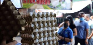 Ocho lempiras baja el cartón de huevos en la capital