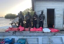 Honduras ha decomisado más de 68,5 toneladas de cocaína y marihuana este 2023