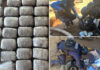 Agentes policiales decomisan unas 70 libras de marihuana en el Triunfo, Choluteca