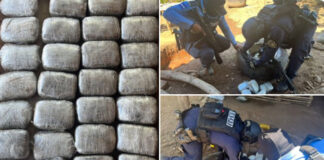 Agentes policiales decomisan unas 70 libras de marihuana en el Triunfo, Choluteca