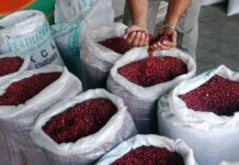 La Secretaría de Agricultura y Ganadería afirma que hay abastecimiento de frijol en los mercados