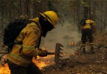 ¡Lamentable! Incendios forestales consumen varias hectáreas de bosque en los alrededores de la capital