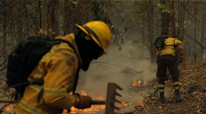 ¡Lamentable! Incendios forestales consumen varias hectáreas de bosque en los alrededores de la capital