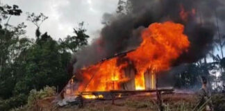Fuerzas Armadas incineran 110.500 arbustos de hoja de coca y destruyen un narcolaboratorio en Olancho