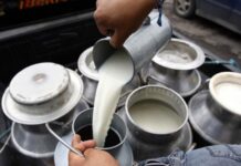 Aproleche advierte que la producción de leche podría disminuir por el fenómeno de “El Niño”