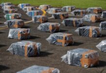 Incautan en Panamá 1.298 paquetes de droga en contenedor con destino a Europa