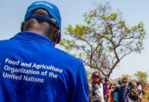 La FAO apuesta por soluciones de bajo costo para combatir el cambio climático