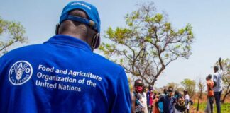 La FAO apuesta por soluciones de bajo costo para combatir el cambio climático