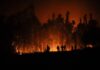 Veinte incendios forestales siguen en combate en la zona centro sur de Chile