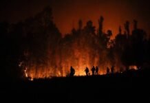 Veinte incendios forestales siguen en combate en la zona centro sur de Chile
