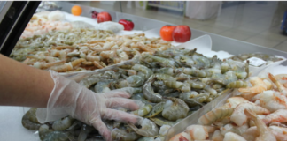 Desempleo masivo golpea a la industria camaronera después de la ruptura diplomática con Taiwán